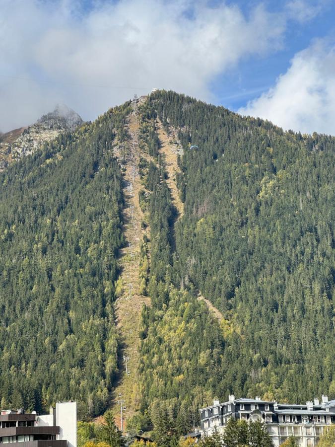 Cocon Au Coeur De Chamonix Avec Parking Gratuit Apartment Екстериор снимка